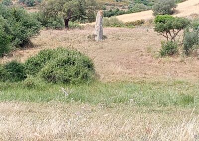 Steinkreis Tortolì